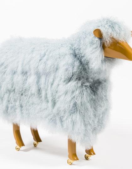 Blue Sheep01